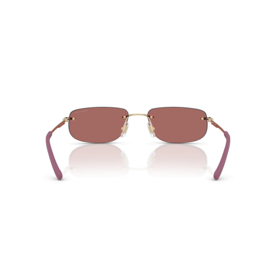 Arnette AN 3096 748/69 Güneş Gözlüğü