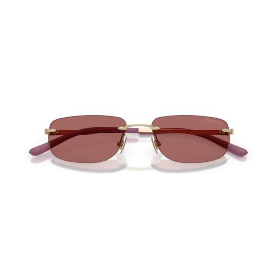 Arnette AN 3096 748/69 Güneş Gözlüğü