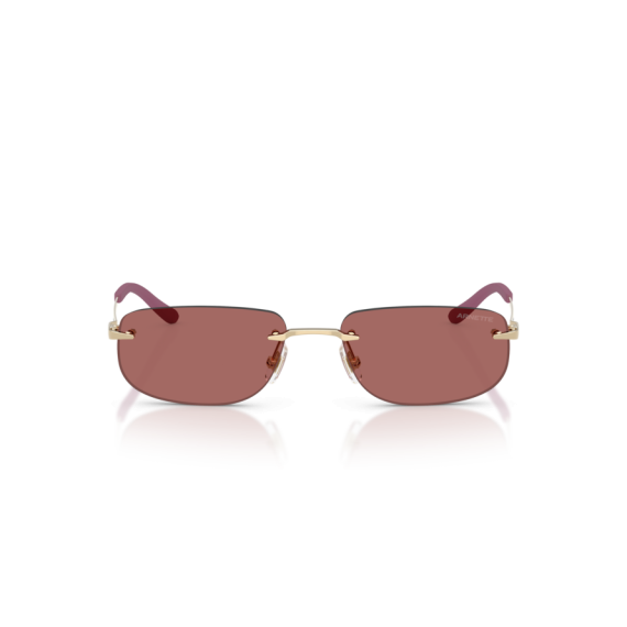 Arnette AN 3096 748/69 Güneş Gözlüğü