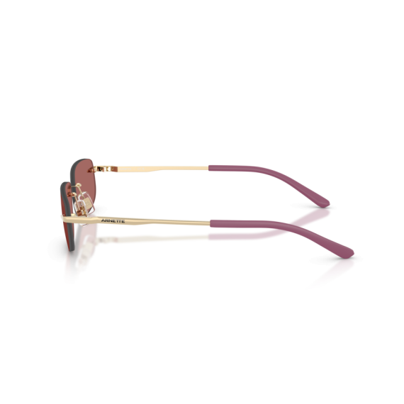 Arnette AN 3096 748/69 Güneş Gözlüğü
