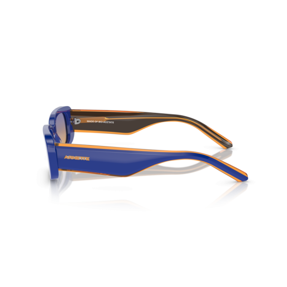 Arnette AN 4317 12392H Güneş Gözlüğü
