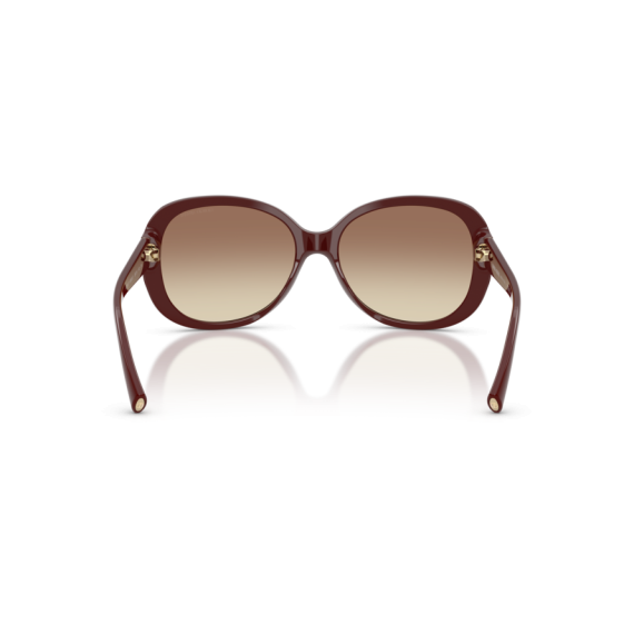 Giorgio Armani AR 8047 639913 Güneş Gözlüğü