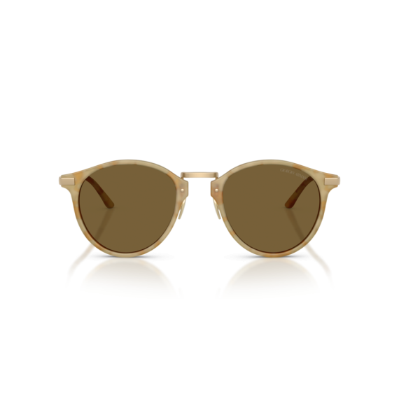 Giorgio Armani AR 8250 630073 Güneş Gözlüğü