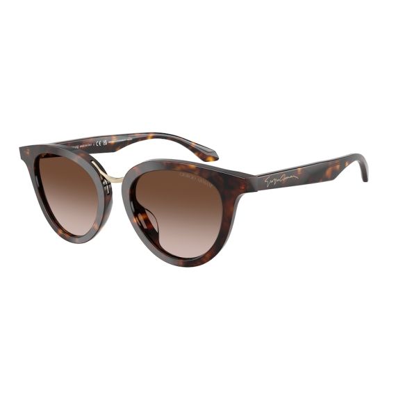 Giorgio Armani AR 8252U 612413 Güneş Gözlüğü
