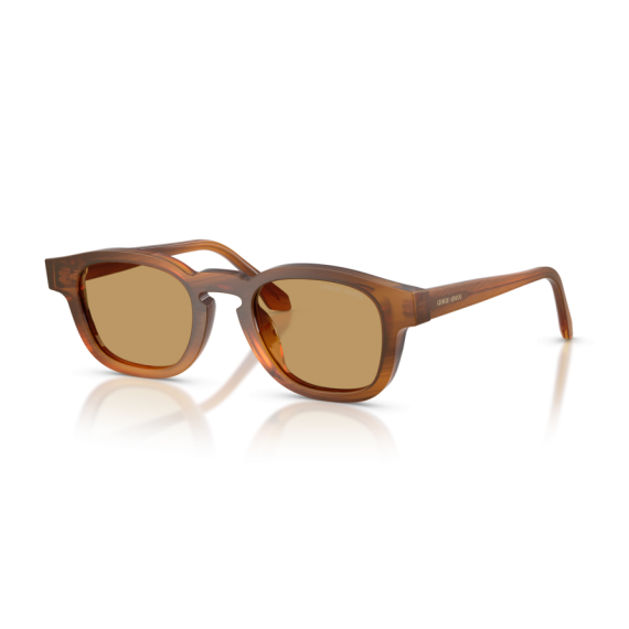 Giorgio Armani AR 8254U 616373 Güneş Gözlüğü