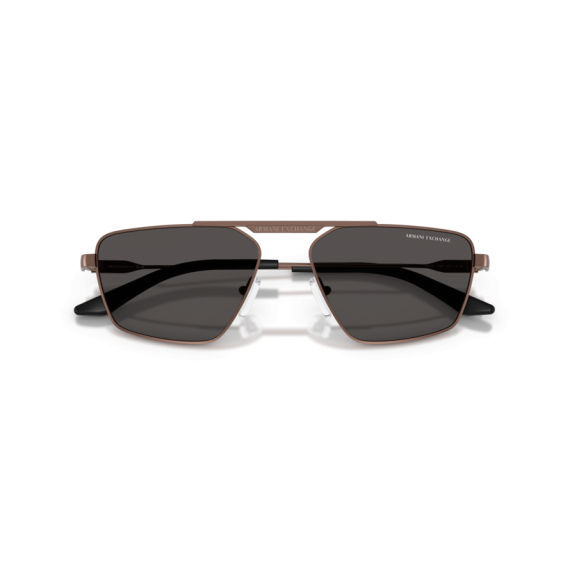 Armani Exchange AX 2059S 610687 Güneş Gözlüğü