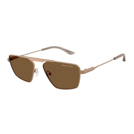 Armani Exchange AX 2059S 611473 Güneş Gözlüğü