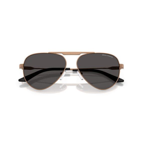 Armani Exchange AX 2060S 610687 Güneş Gözlüğü