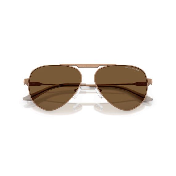 Armani Exchange AX 2060S 611473 Güneş Gözlüğü