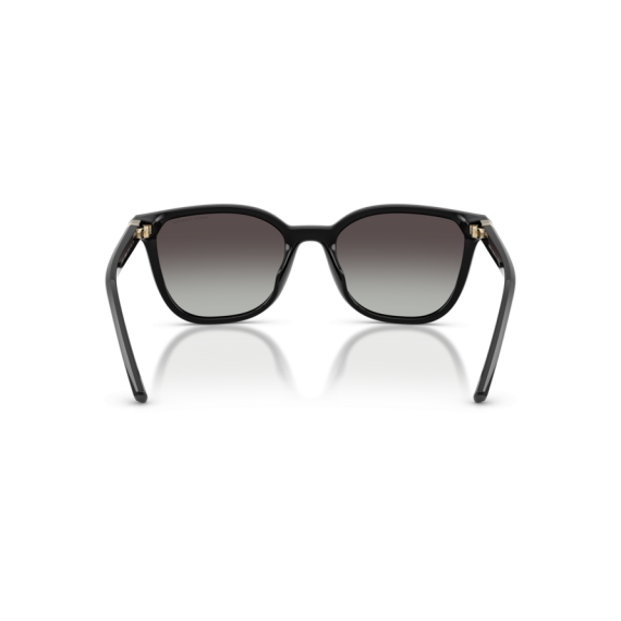 Armani Exchange AX 4168SU 81588G Güneş Gözlüğü