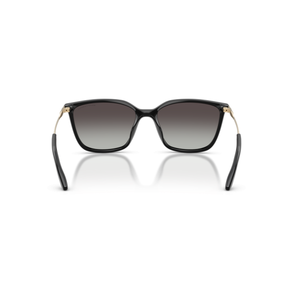 Armani Exchange AX 4171SU 81588G Güneş Gözlüğü