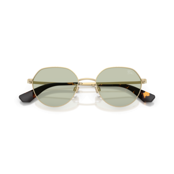 Burberry BE 3173D 1109/2 Güneş Gözlüğü