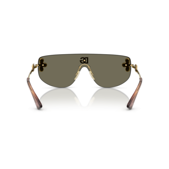 Dolce & Gabbana DG 2333B 02/03 Güneş Gözlüğü