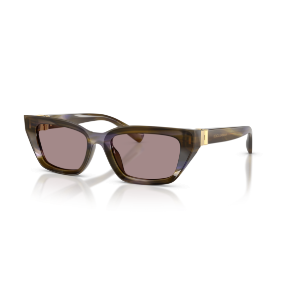 Dolce & Gabbana DG 4532 3447LA Güneş Gözlüğü
