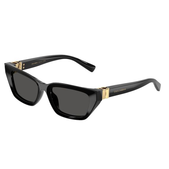 Dolce & Gabbana DG 4532 501/87 Güneş Gözlüğü