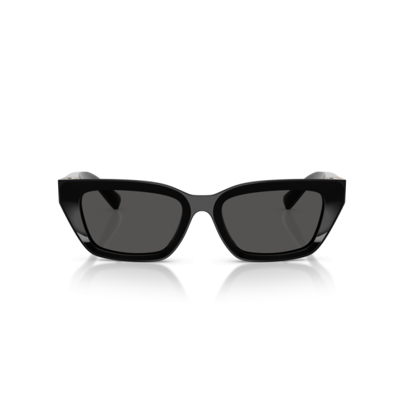Dolce & Gabbana DG 4532 501/87 Güneş Gözlüğü