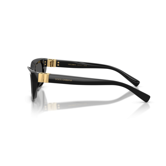 Dolce & Gabbana DG 4532 501/87 Güneş Gözlüğü