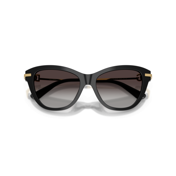 Dolce & Gabbana DG 4534 501/8G Güneş Gözlüğü
