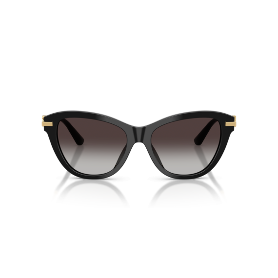 Dolce & Gabbana DG 4534 501/8G Güneş Gözlüğü