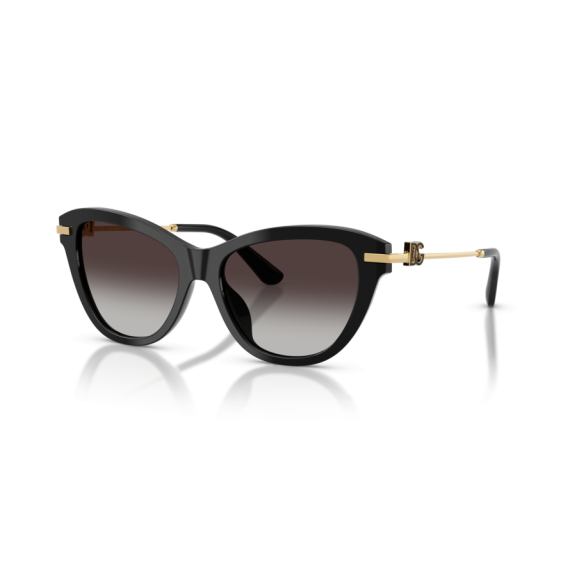 Dolce & Gabbana DG 4534 501/8G Güneş Gözlüğü