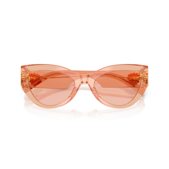 Dolce & Gabbana DG 4536 322684 Güneş Gözlüğü