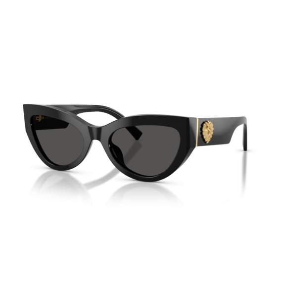 Dolce & Gabbana DG 4536 501/87 Güneş Gözlüğü