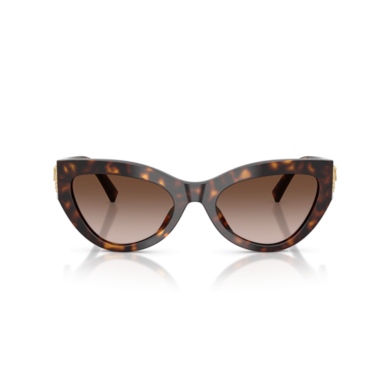 Dolce & Gabbana DG 4536 502/13 Güneş Gözlüğü