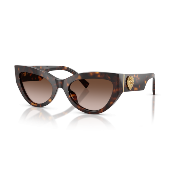 Dolce & Gabbana DG 4536 502/13 Güneş Gözlüğü