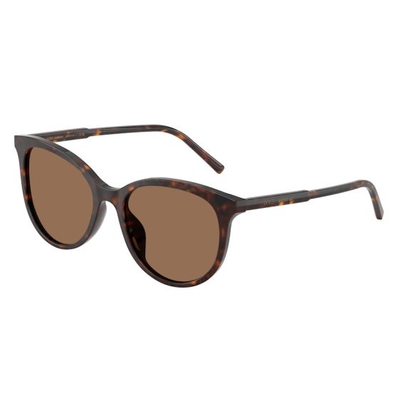 Dolce & Gabbana DG 4540 502/13 Güneş Gözlüğü