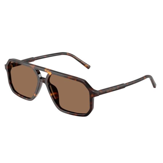 Dolce & Gabbana DG 4541 502/73 Güneş Gözlüğü