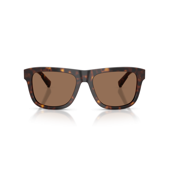Dolce & Gabbana DG 4545 502/73 Güneş Gözlüğü