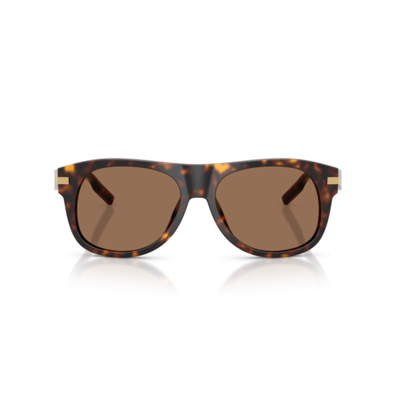 Dolce & Gabbana DG 4546 502/73 Güneş Gözlüğü