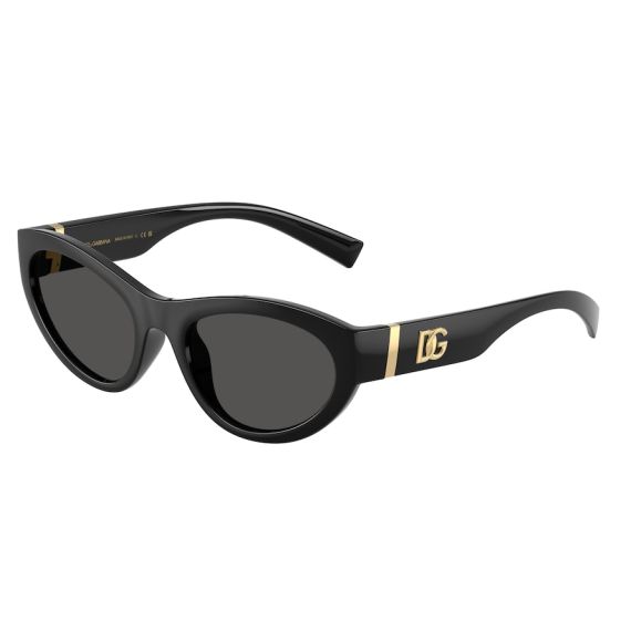 Dolce & Gabbana DG 6207 501/87 Güneş Gözlüğü