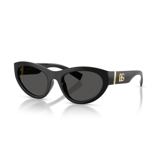 Dolce & Gabbana DG 6207 501/87 Güneş Gözlüğü