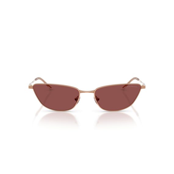 Emporio Armani EA 2174B 301175 Güneş Gözlüğü