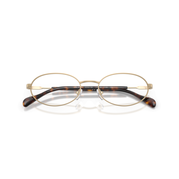 Emporio Armani EA 2175 30021W Güneş Gözlüğü