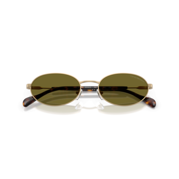 Emporio Armani EA 2175 3002/2 Güneş Gözlüğü