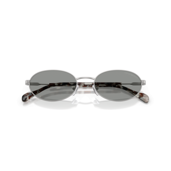 Emporio Armani EA 2175 3015/1 Güneş Gözlüğü