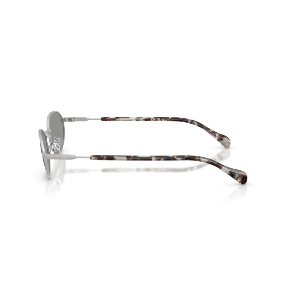 Emporio Armani EA 2175 3015/1 Güneş Gözlüğü