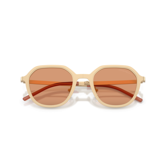 Emporio Armani EA 2176 3002/7 Güneş Gözlüğü