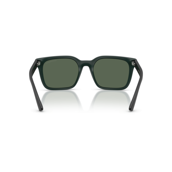 Emporio Armani EA 4269 637071 Güneş Gözlüğü