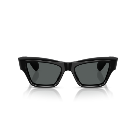 Oliver Peoples OV 5611SU 1731P2 Güneş Gözlüğü