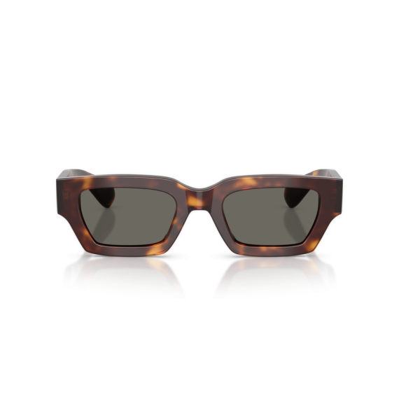 Oliver Peoples OV 5612SU 1007P2 Güneş Gözlüğü