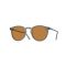 Oliver Peoples OV 5183S 178253 Güneş Gözlüğü
