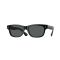 Oliver Peoples OV 5540SU 1005P2 Güneş Gözlüğü