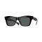 Oliver Peoples OV 5542SU 1492P2 Güneş Gözlüğü