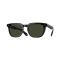 Oliver Peoples OV 5546SU 1731P1 Güneş Gözlüğü