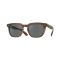 Oliver Peoples OV 5546SU 1753W5 Güneş Gözlüğü
