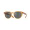 Oliver Peoples OV 5547SU 1779W5 Güneş Gözlüğü
