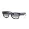 Ray-Ban RB 0832S 684532 Güneş Gözlüğü, Çerçeve Şekli: Kare, Ekartman: 55